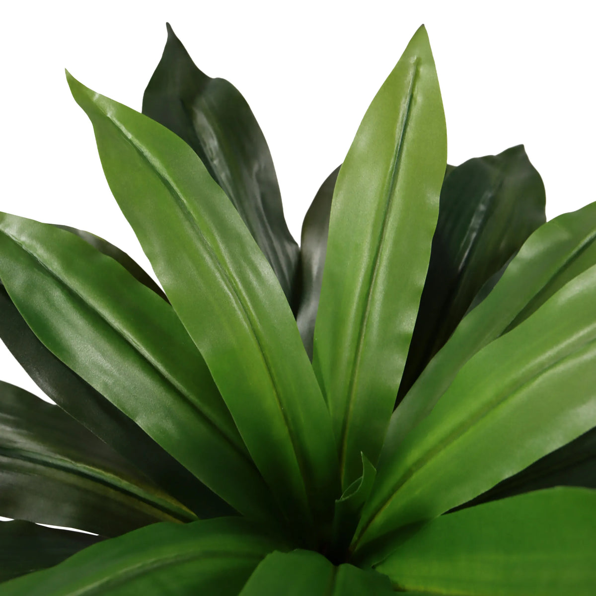 Gröna blad från de Konstgjorda växter DRACAENA I från hjh OFFICE