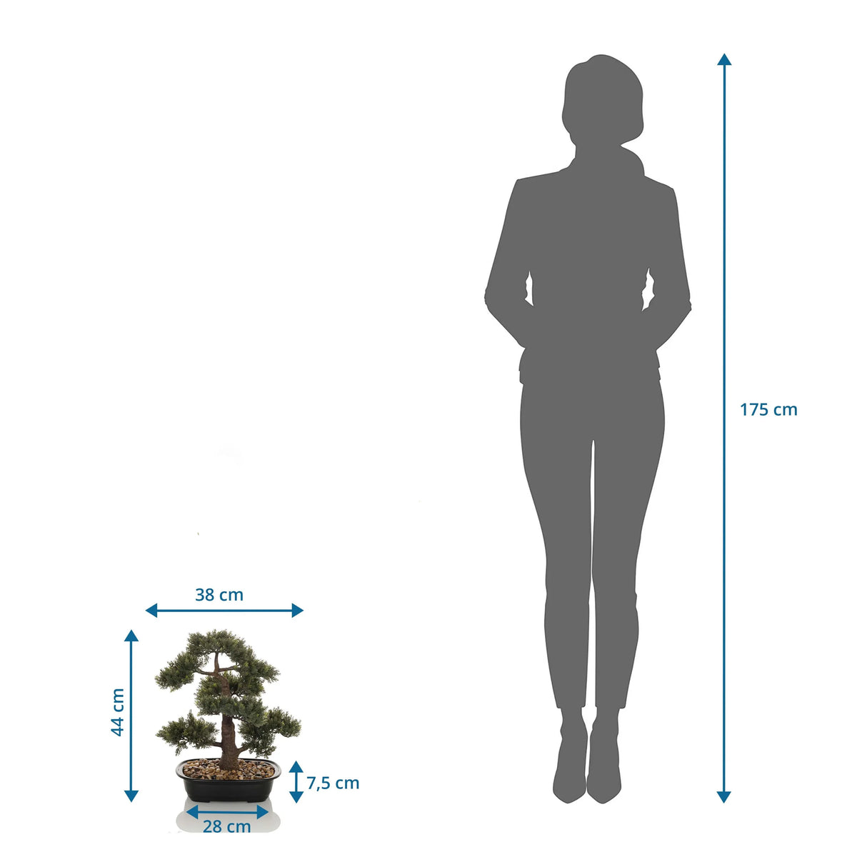 Måttvy av Konstgjorda växter BONSAI med en höjd på 44 cm i jämförelse med en person från hjh OFFICE