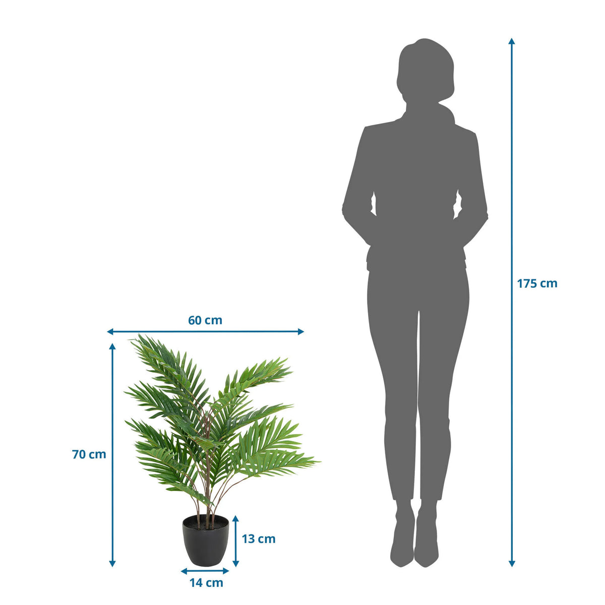 Måttskiss av Konstgjorda växter ARECA med en höjd på 70 cm och bredd på 60 cm från hjh OFFICE