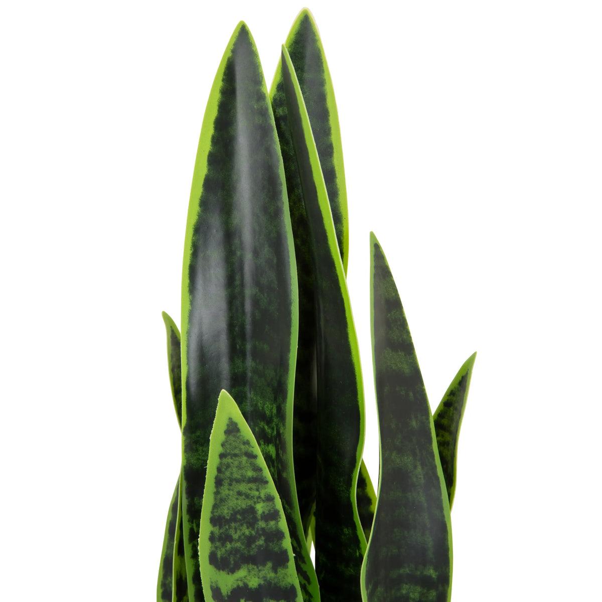 Gröna blad från den konstgjorda växten SANSEVIERIA med mörkgröna mönster från hjh OFFICE