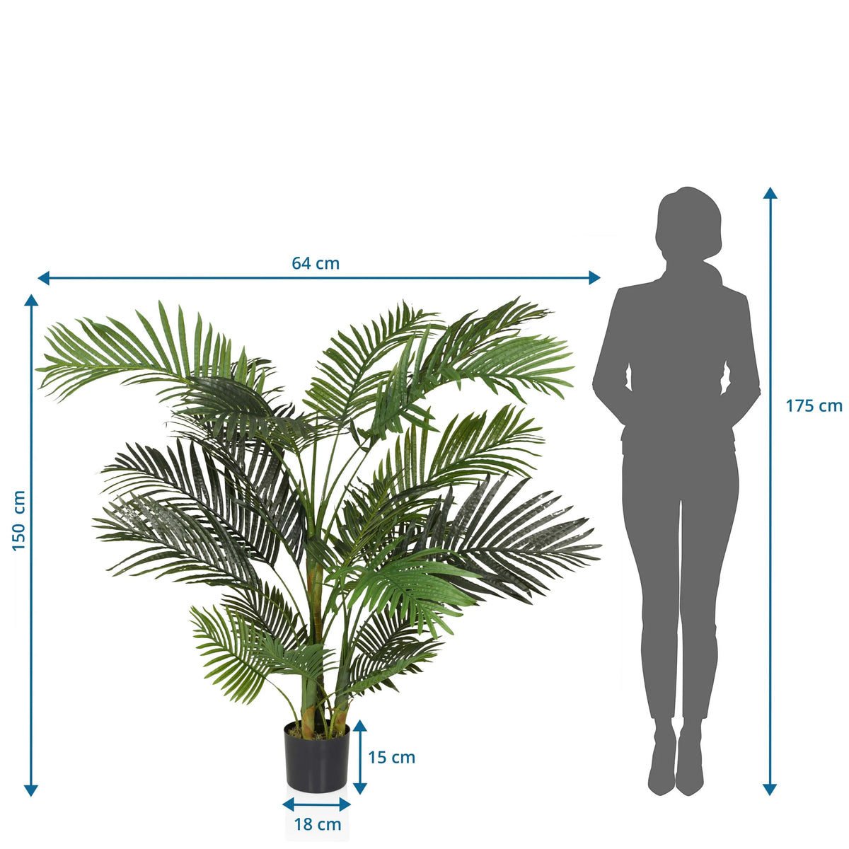 Måttritning av Konstgjorda växter ARECA II med en höjd på 150 cm och bredd på 64 cm från hjh OFFICE