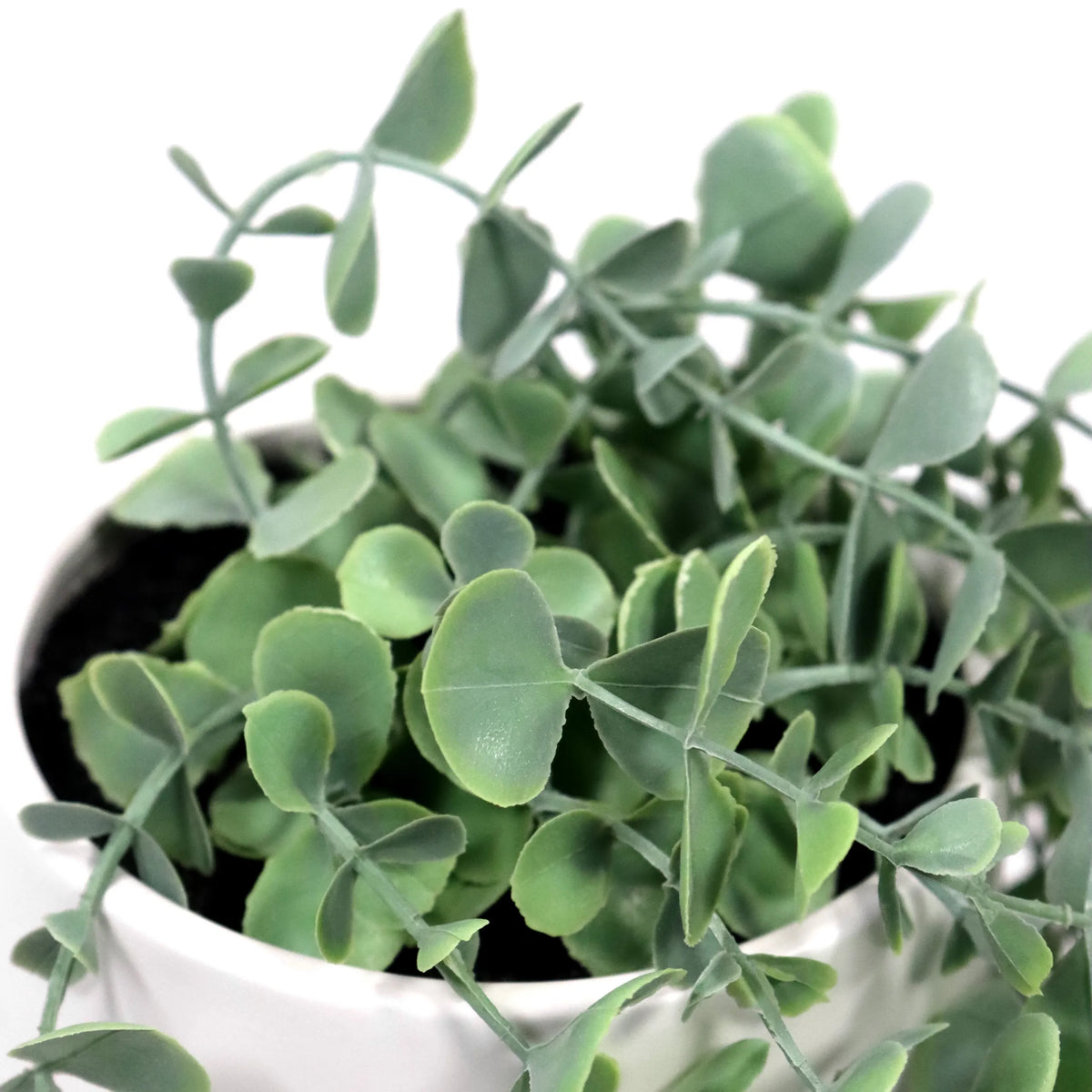 Gröna blad från den konstgjorda växten EUCALYPTUS CLIMB i en vit kruka från hjh OFFICE