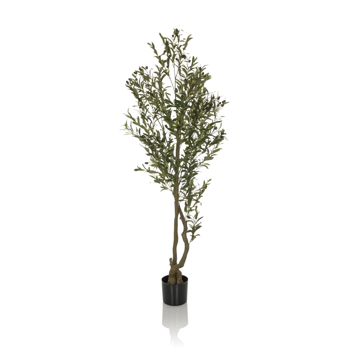 Grön Konstgjorda växter OLIVE I i en enkel svart kruka från hjh OFFICE – 360-gradersvy (sidoprofil 90°)