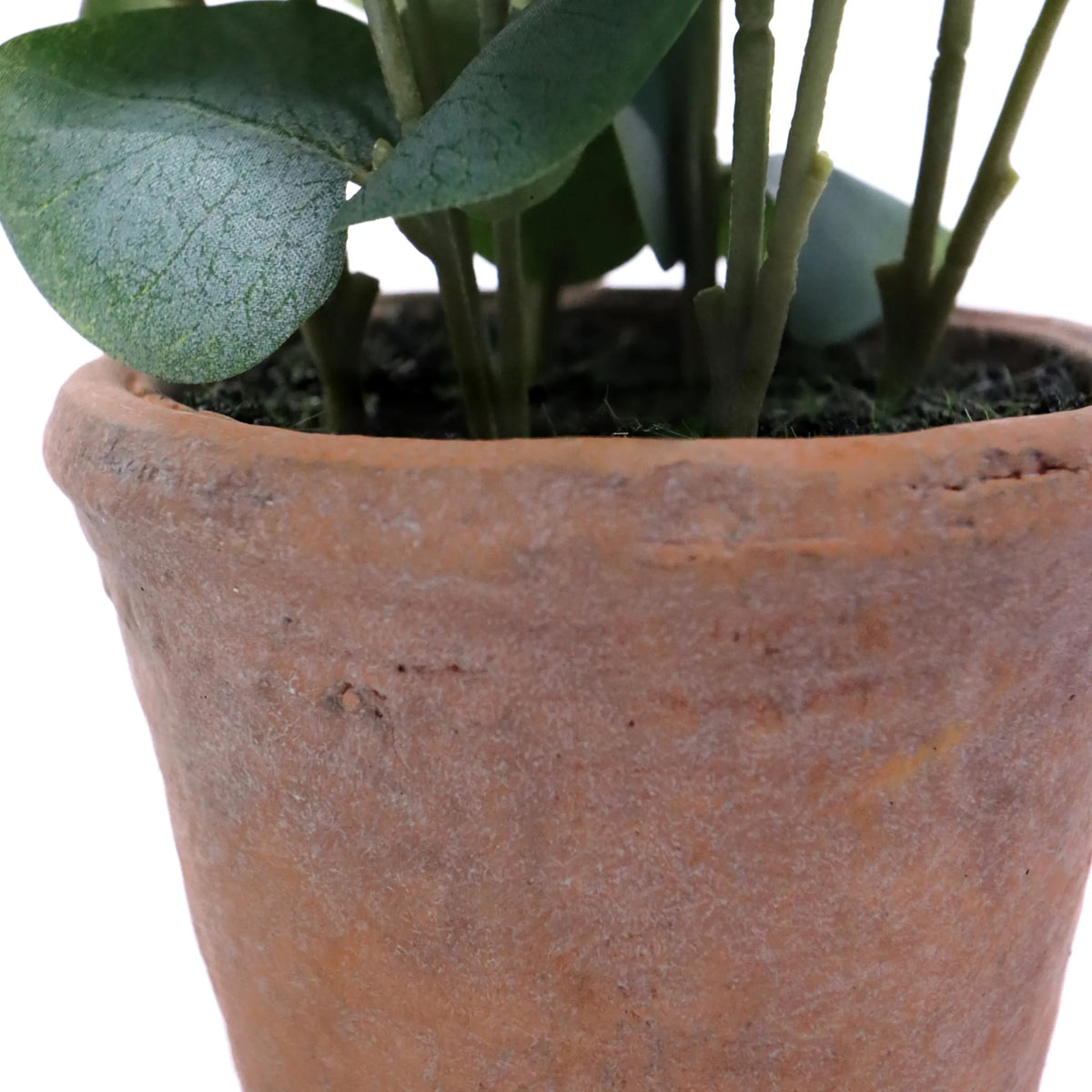 Terrakottakruka till den konstgjorda växten Eucalyptus med gröna blad från hjh OFFICE