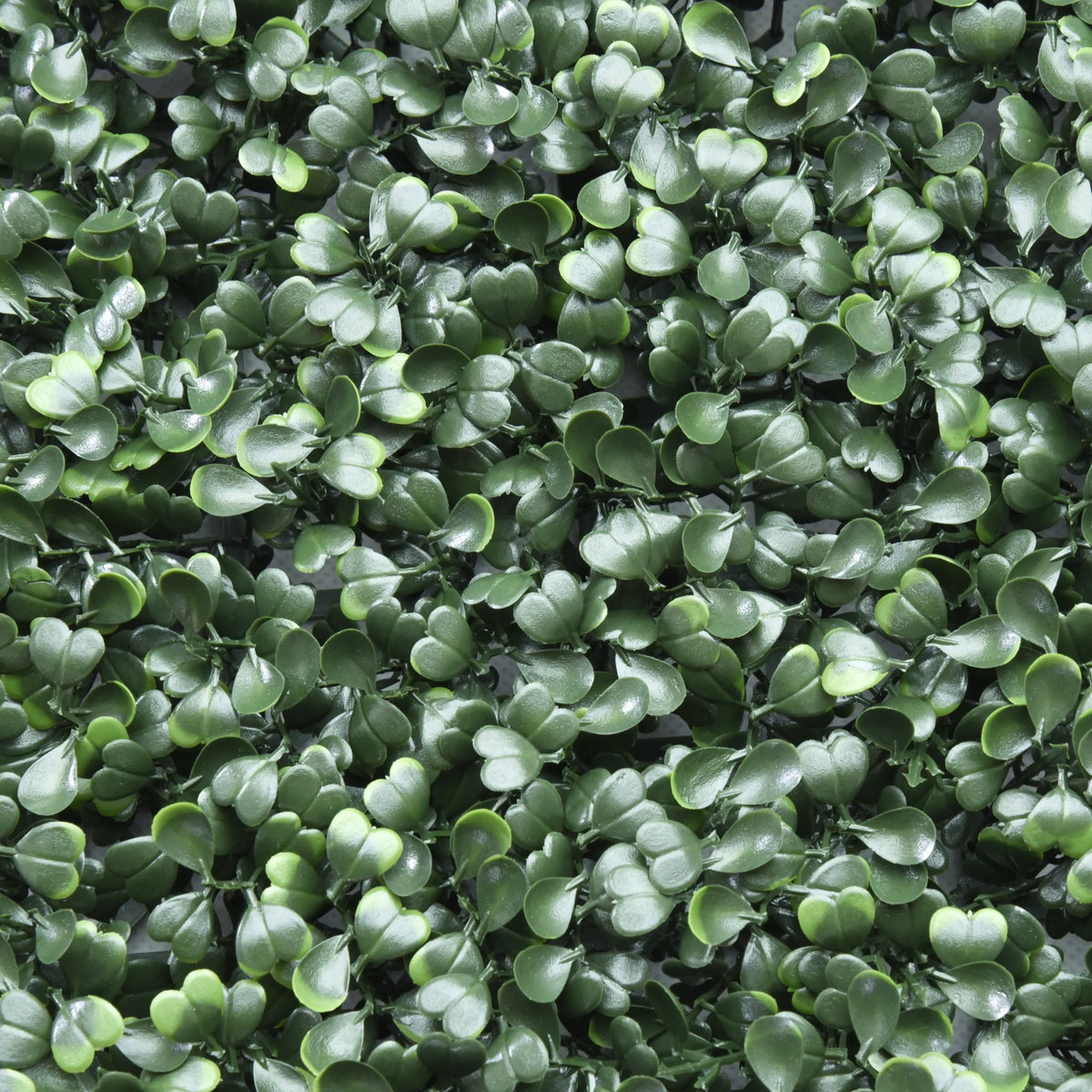 Gröna blad från Växtmatta LEAFLUXE 1 från hjh LIVING