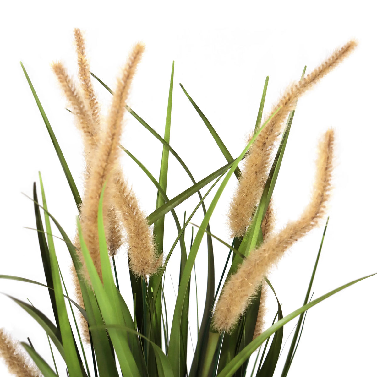 Beige-gröna gräsen från den konstgjorda växten CORTADERIA I med luddiga blomställningar från hjh OFFICE