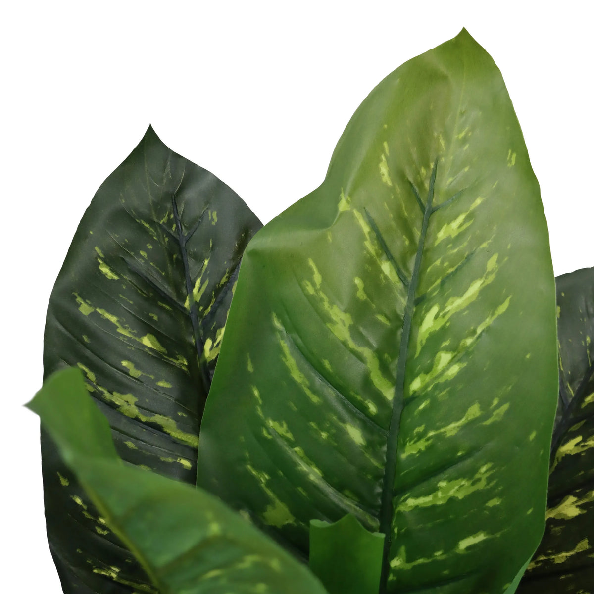 Gröna blad från den konstgjorda växten DIEFFENBACHIA med ljusare ådring från hjh OFFICE