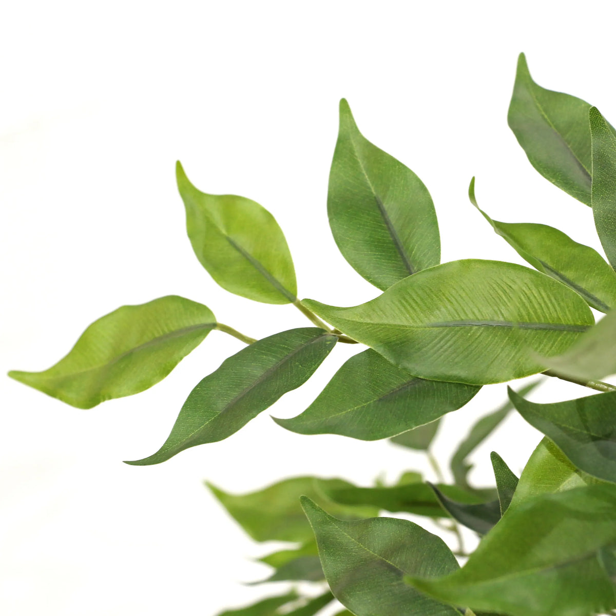 Gröna blad från den Konstgjorda växter FICUS I från hjh OFFICE