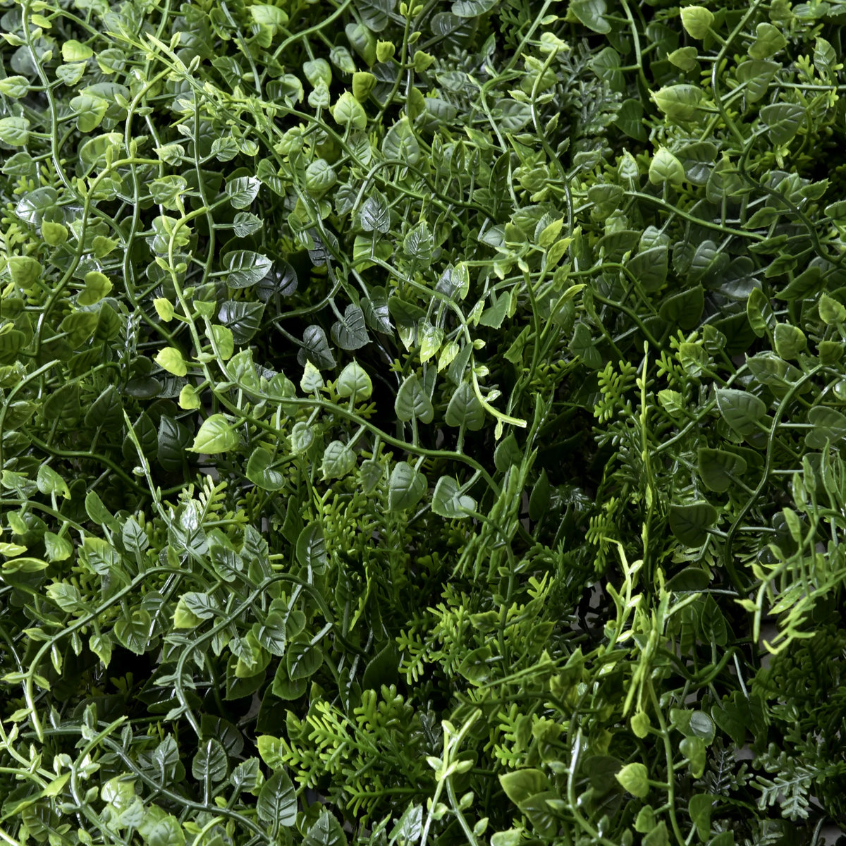 Gröna blad från LEAFLUXE 2 växtmatta från hjh LIVING