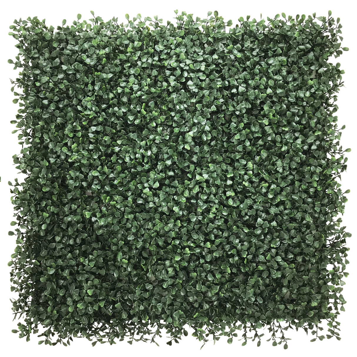 LEAFLUXE 1 - Växtmatta