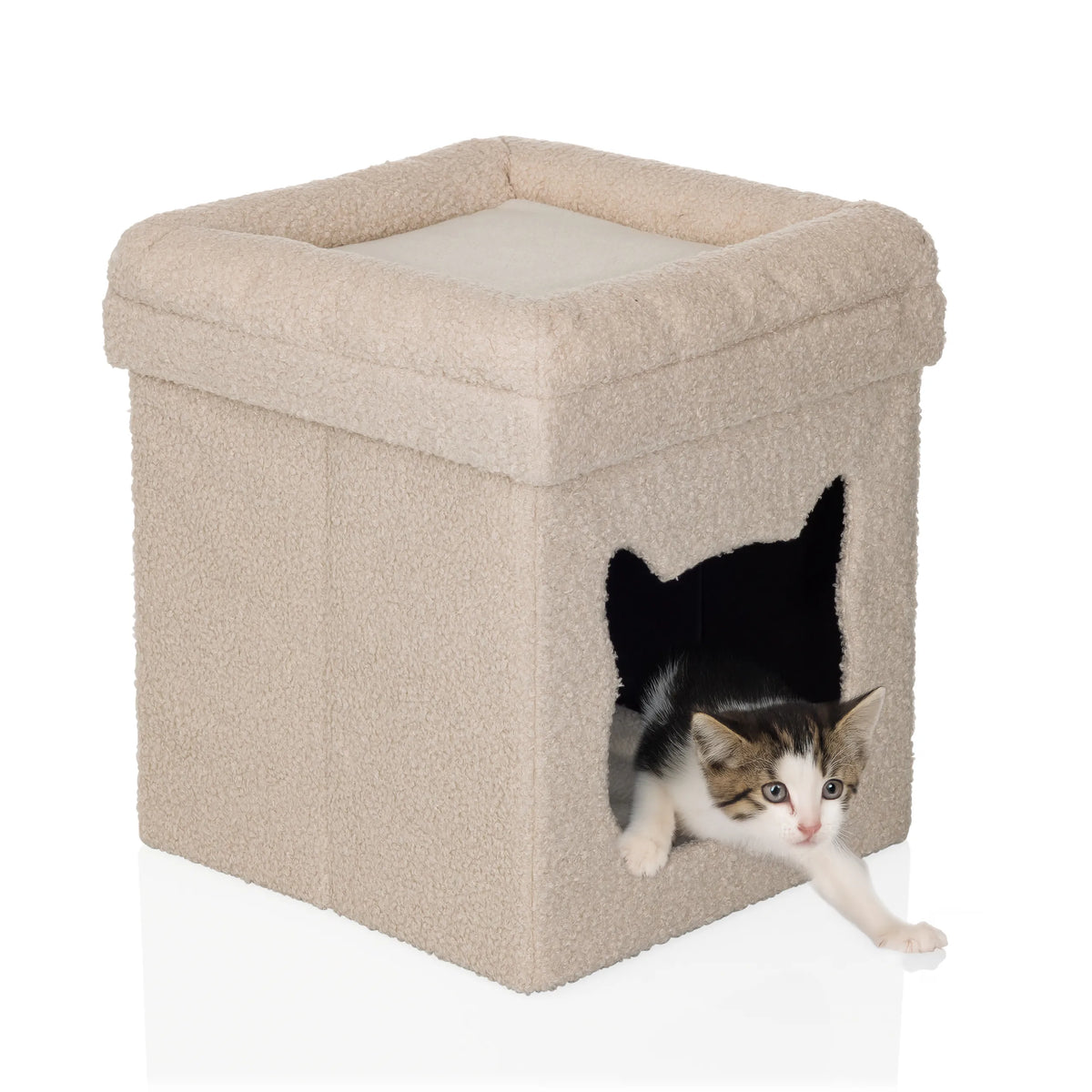 Beige katthus PAWY ES med mjukt plyschöverdrag och en liten kattunge inuti från hjh LIVING