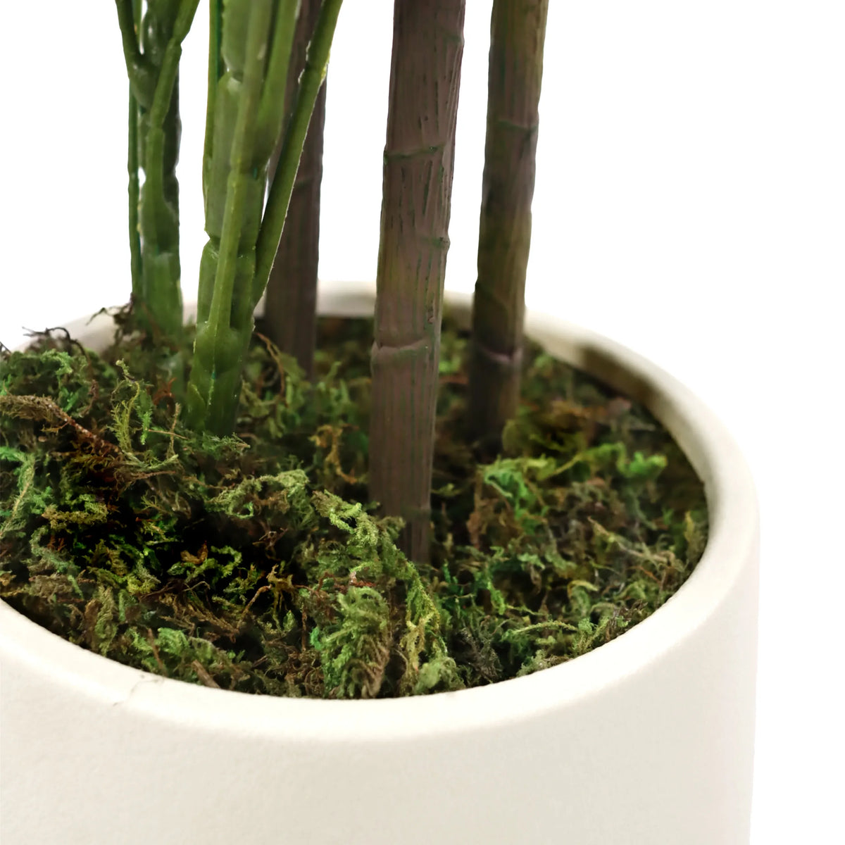 Stjälkar och mossbotten på Konstgjorda växter Schefflera 2 i en vit kruka från hjh OFFICE