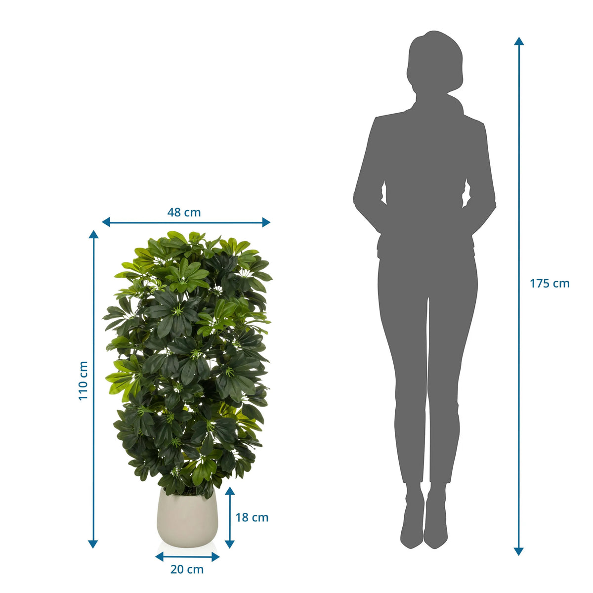 Måttritning av Konstgjorda växter Schefflera 2 med en höjd på 110 cm och bredd på 48 cm från hjh OFFICE