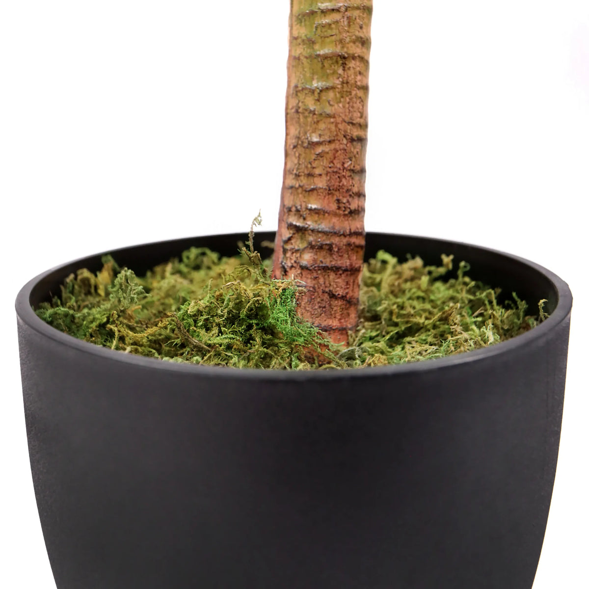 Stam och svart kruka med grön mossa från den konstgjorda växten DRACAENA I från hjh OFFICE