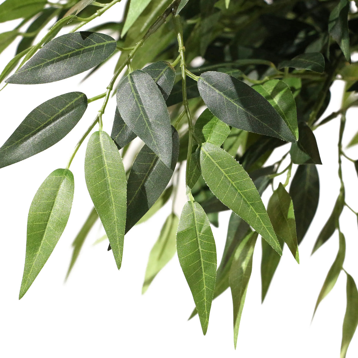 Gröna blad från den konstgjorda växten ACACIA från hjh OFFICE