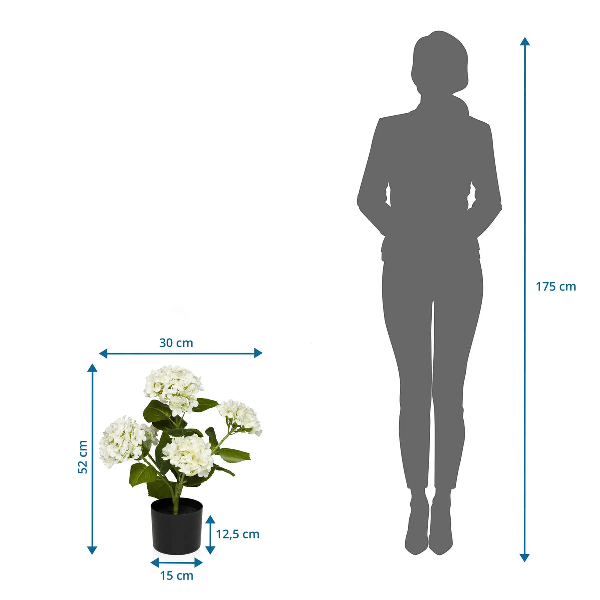 Måttskiss av Konstgjorda växter HYDRANGEA med en höjd på 52 cm och bredd på 30 cm från hjh OFFICE