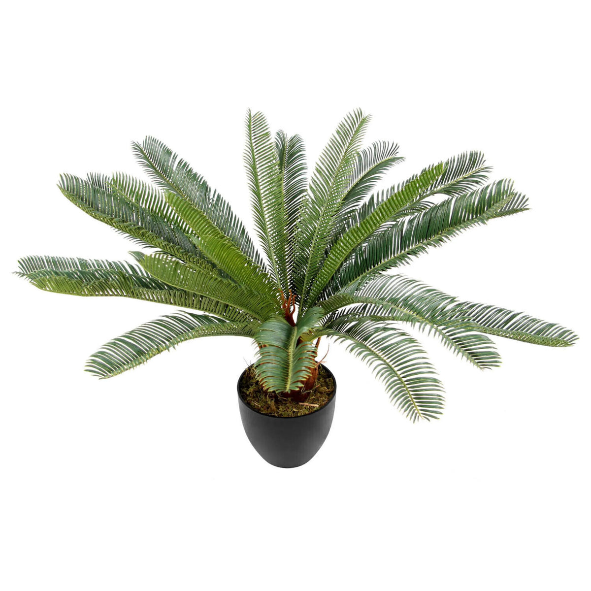 Konstgjorda växter CYCAS i grön färg med svart ytterkruka från hjh OFFICE