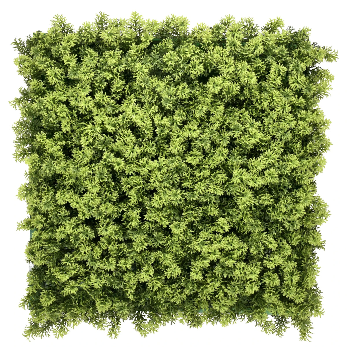 Grön växtmatta LEAFLUXE 3 med tätt, finflikigt bladverk från hjh LIVING