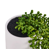 Grön konstväxt i vit kruka av modellen Senecio Climb från hjh OFFICE