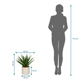 Måttritning av Konstgjorda växter Agave med 45 cm höjd och 40 cm bredd från hjh OFFICE