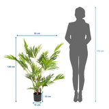 Måttskiss av Konstgjorda växter ARECA I med en höjd på 120 cm och bredd på 70 cm från hjh OFFICE