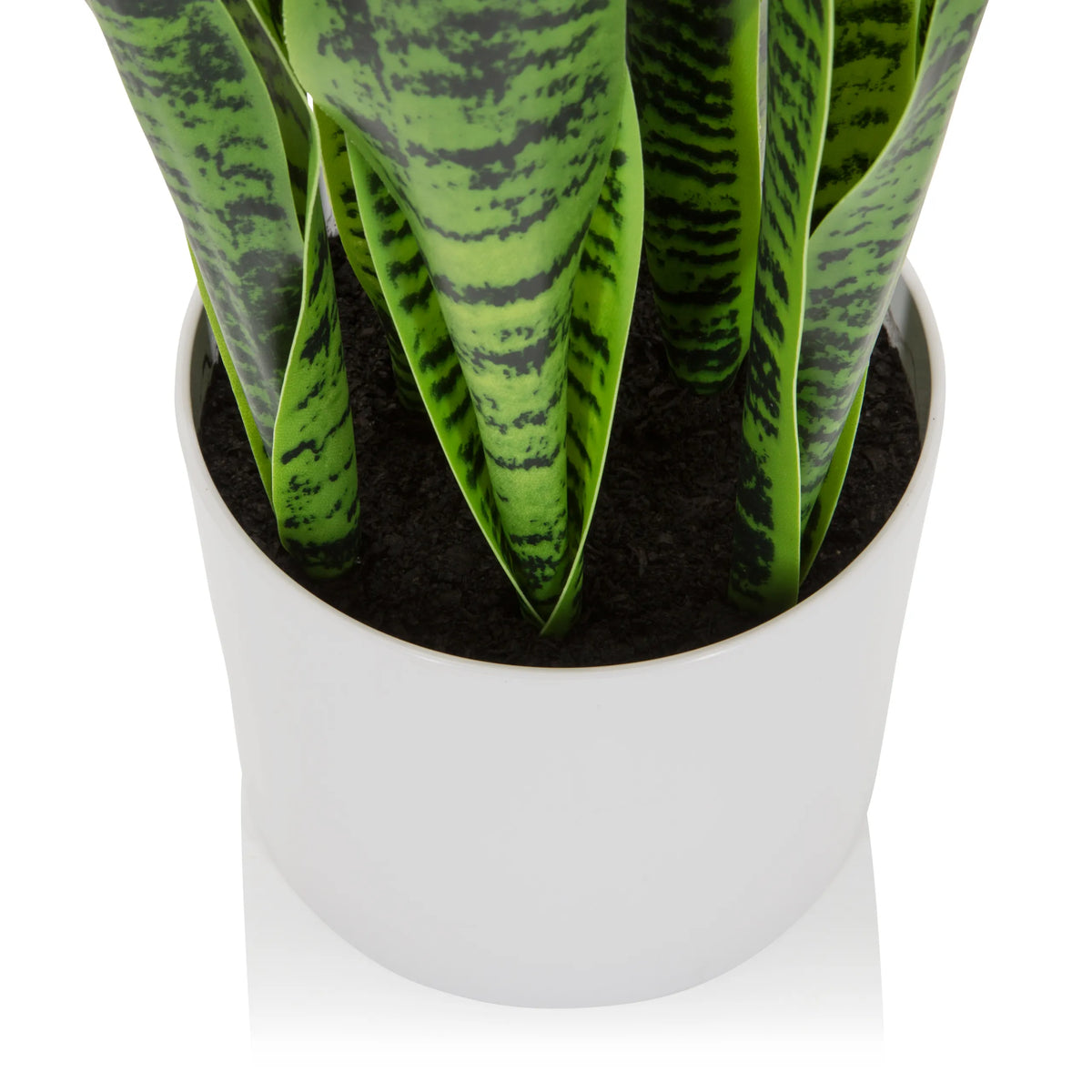 Vit ytterkruka till de Konstgjorda växter SANSEVIERIA med gröna blad från hjh OFFICE