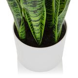 Vit ytterkruka till de Konstgjorda växter SANSEVIERIA med gröna blad från hjh OFFICE
