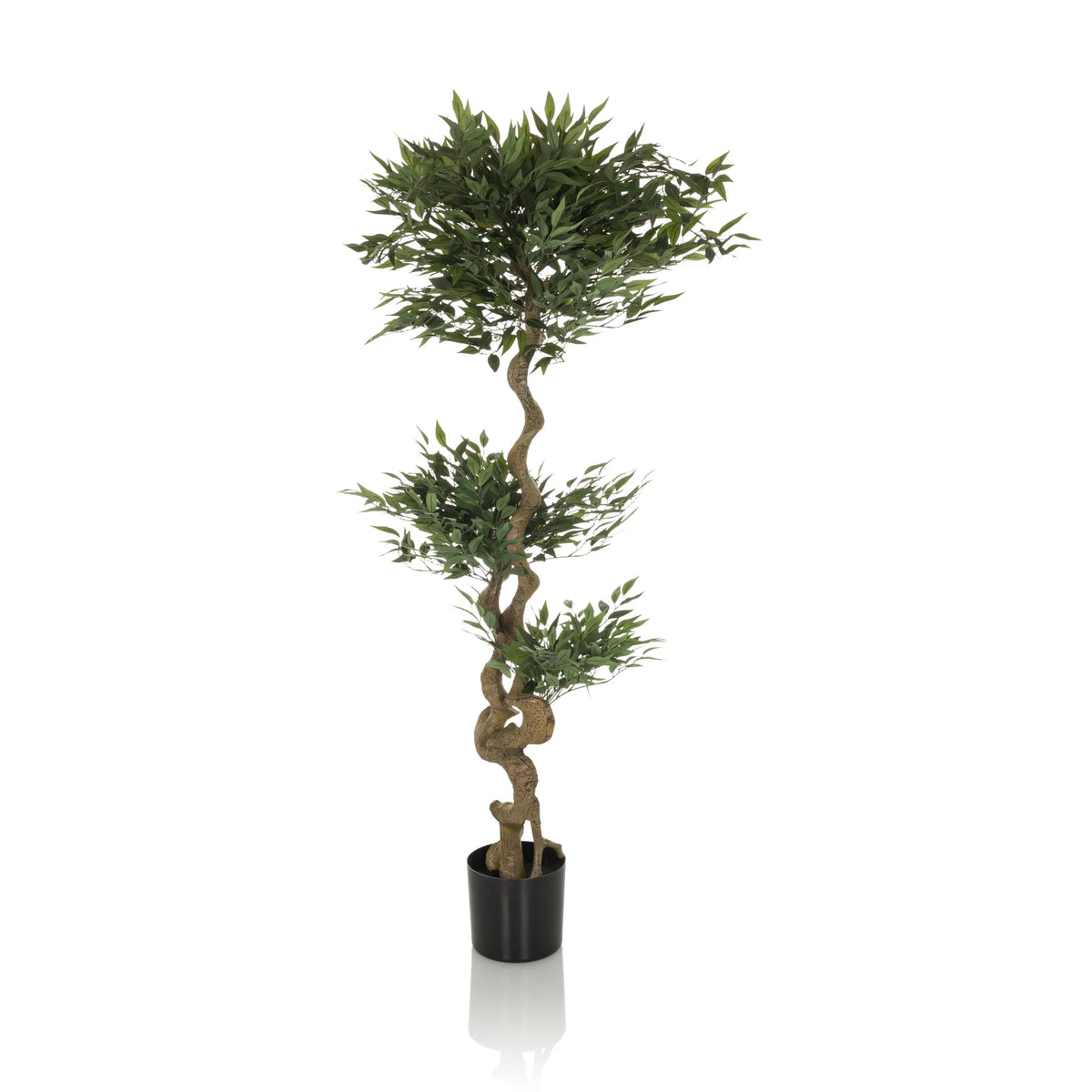 Grön Konstgjorda växter ACACIA med tvinnad stam i svart kruka från hjh OFFICE – 360-gradersvy (sidoprofil 90°)