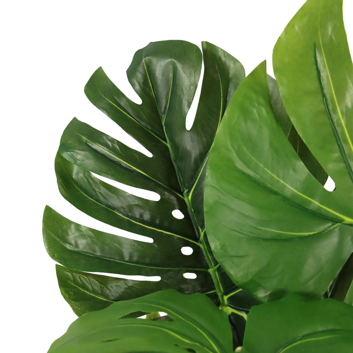 Gröna blad från Konstgjorda växter MONSTERA I från hjh OFFICE