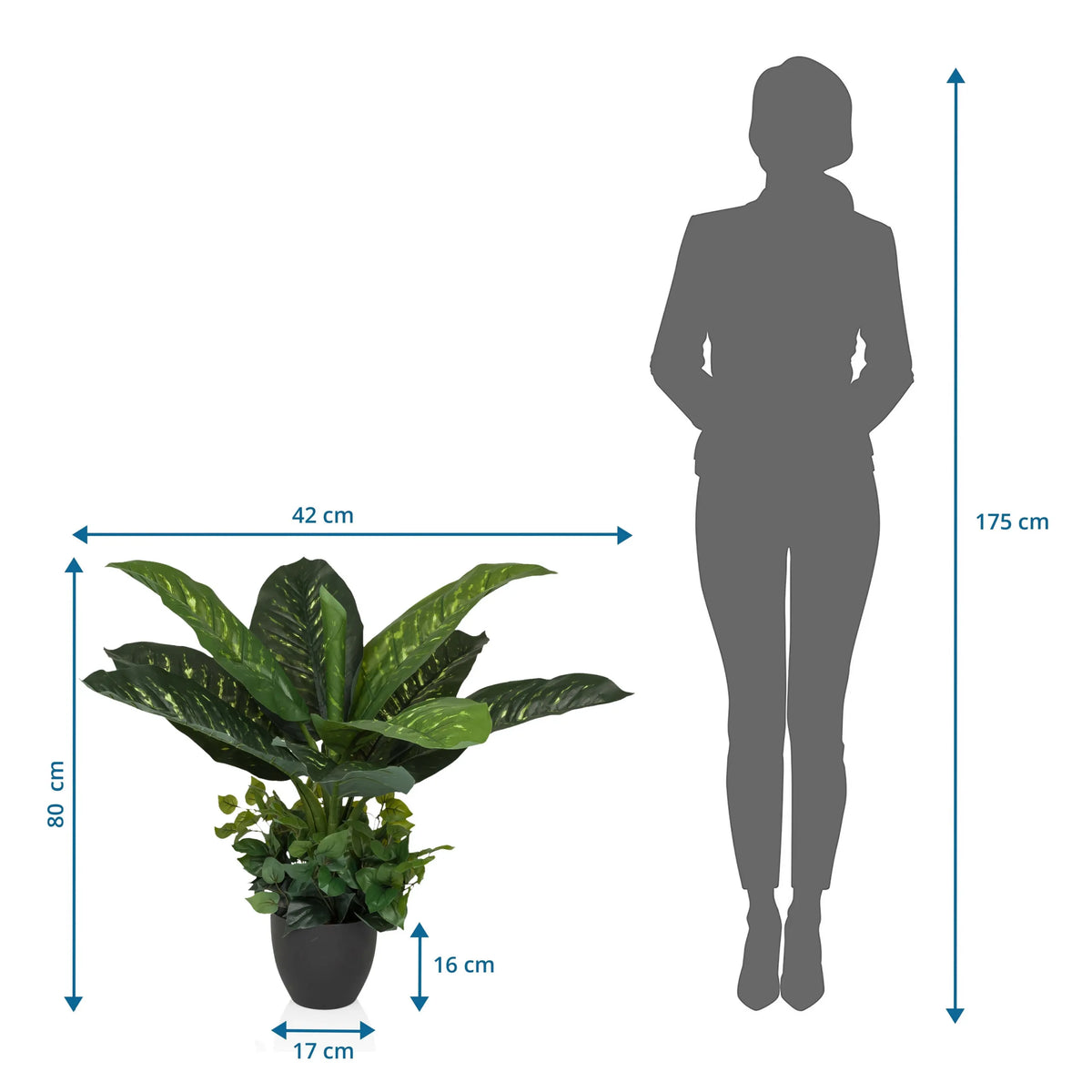Måttritning av Konstgjorda växter DIEFFENBACHIA med en höjd på 80 cm och bredd på 42 cm från hjh OFFICE