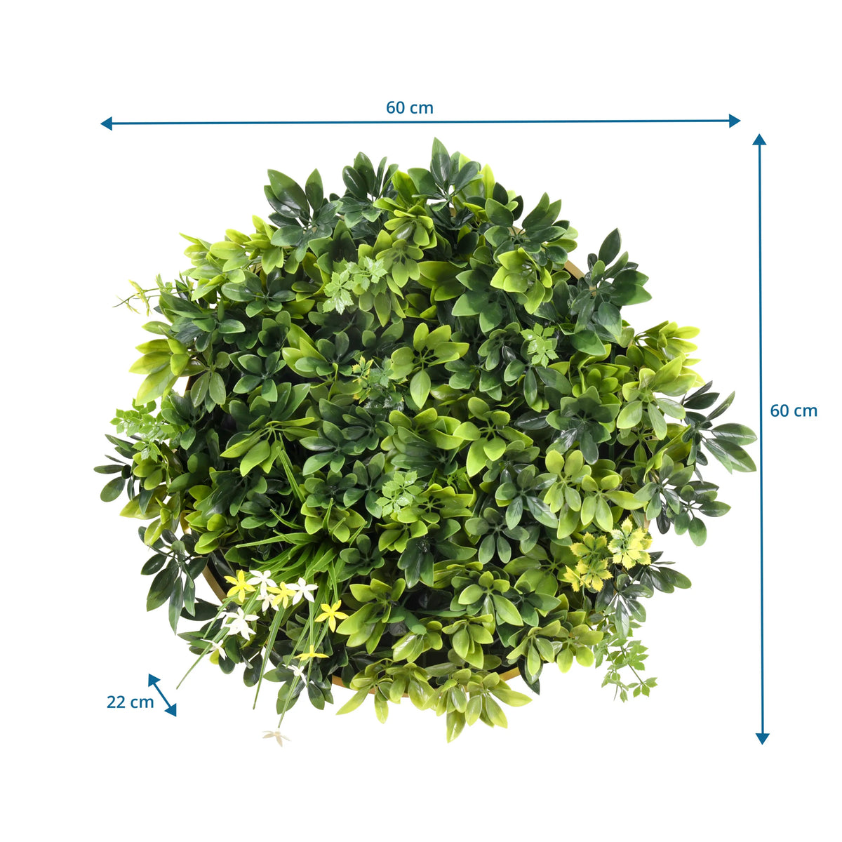 Måttritning av Växtmatta LEAFLUXE WALL 2 med 60 × 60 cm och ett djup på 22 cm från hjh LIVING