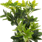 Gröna blad från den konstgjorda växten SCHEFFLERA från hjh OFFICE