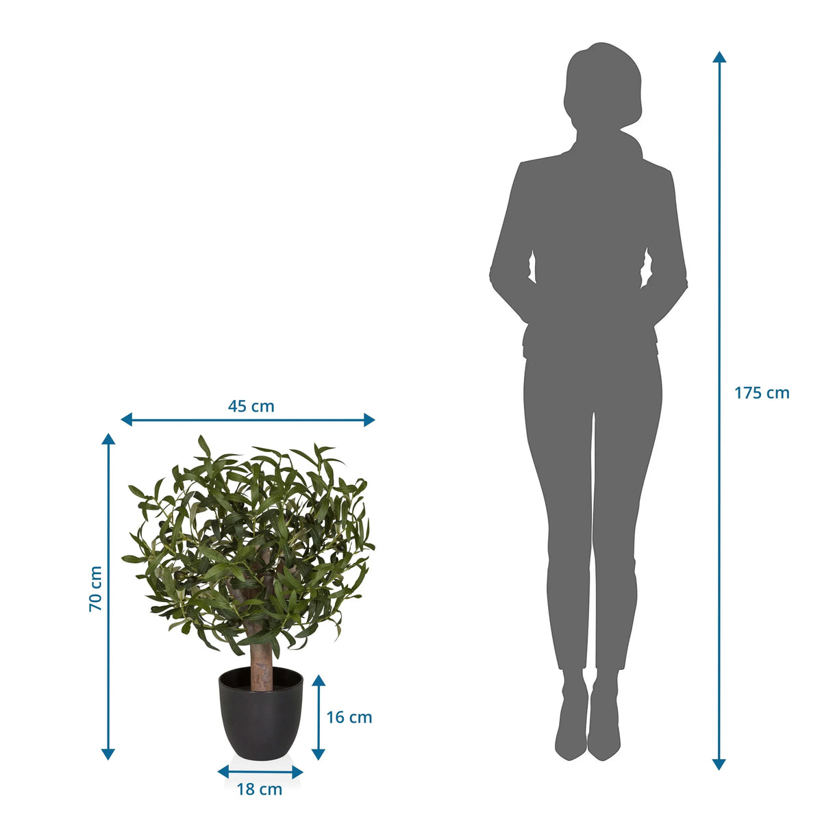 Måttvy av Konstgjorda växter Olive S med en höjd på 70 cm och bredd på 45 cm från hjh OFFICE