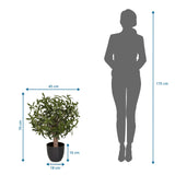 Måttvy av Konstgjorda växter Olive S med en höjd på 70 cm och bredd på 45 cm från hjh OFFICE