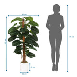 Måttritning av Konstgjorda växter EPIPREMNUM med en höjd på 155 cm och bredd på 67 cm från hjh OFFICE