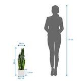 Måttvy av Konstgjorda växter SANSEVIERIA med en höjd på 65 cm bredvid en personsilhuett från hjh OFFICE