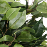 Gröna blad från den konstgjorda växten FICUS II från hjh OFFICE