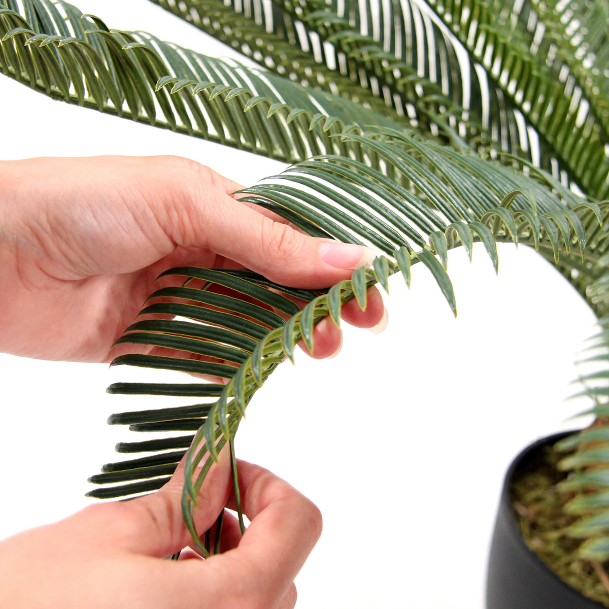 Närbild av gröna blad från den konstgjorda växten CYCAS från hjh OFFICE