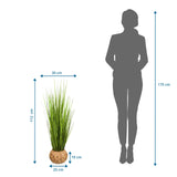 Måttritning av Konstgjorda växter CORTADERIA med en höjd på 112 cm och bredd på 30 cm från hjh OFFICE