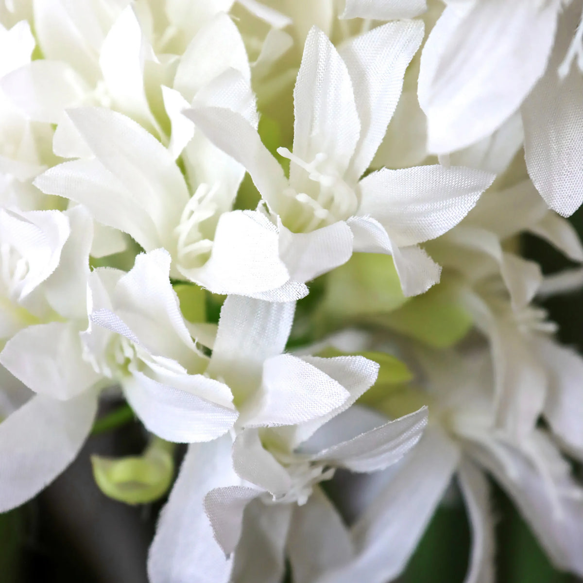 Vita blommor på den konstgjorda växten AGAPANTHUS från hjh OFFICE