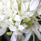 Vita blommor på den konstgjorda växten AGAPANTHUS från hjh OFFICE