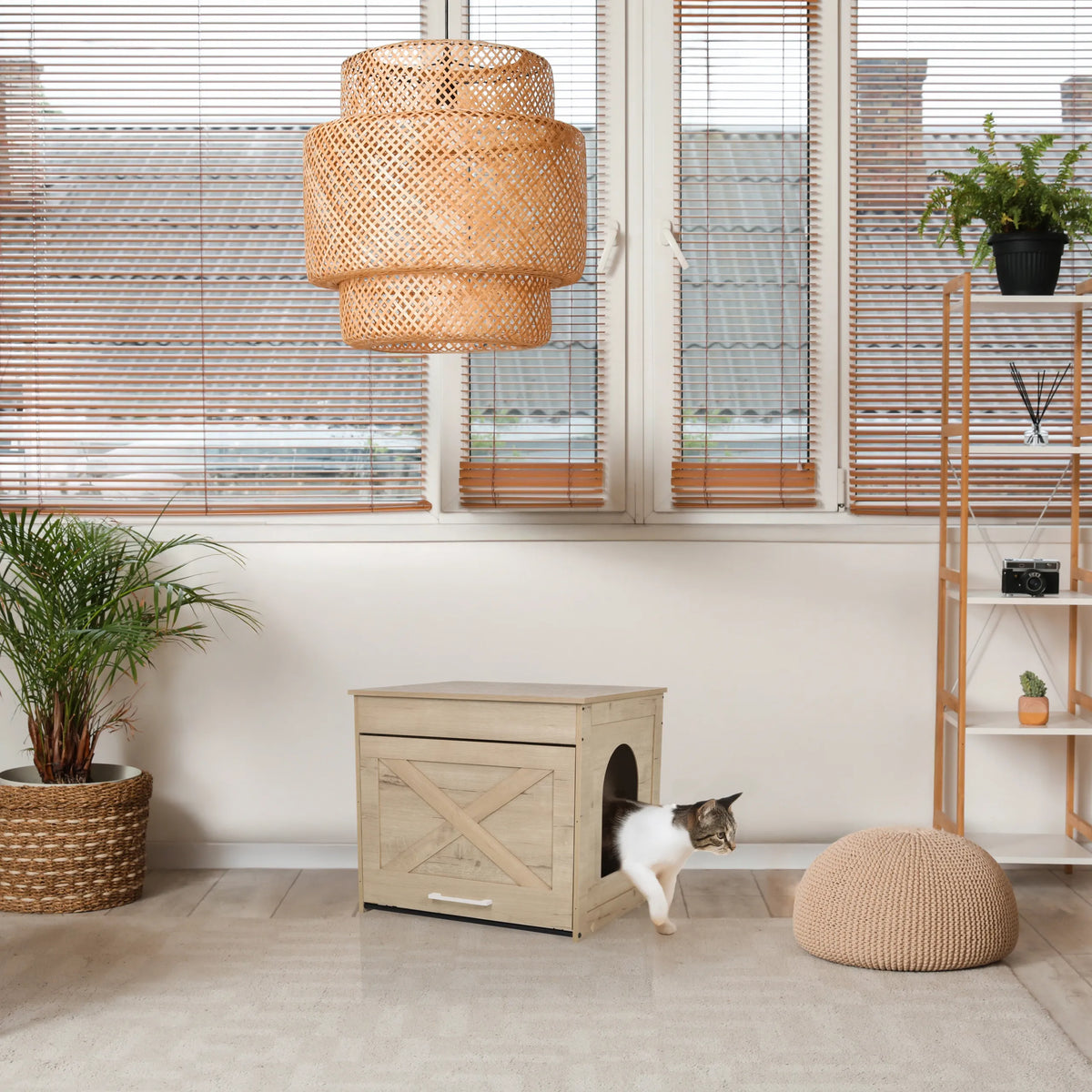 Katthus KITTY PAWBOX 1 i eklook med cirkulär öppning och frontdekoration från hjh LIVING