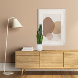 Grön konstgjord växt SANSEVIERIA i en vit kruka på en sideboard i trä från hjh OFFICE
