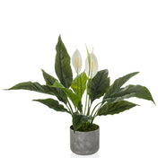 Kunstpflanze Spathiphyllum 1 mit grünen Blättern, zwei weißen Blüten und grauem Topf von hjh OFFICE