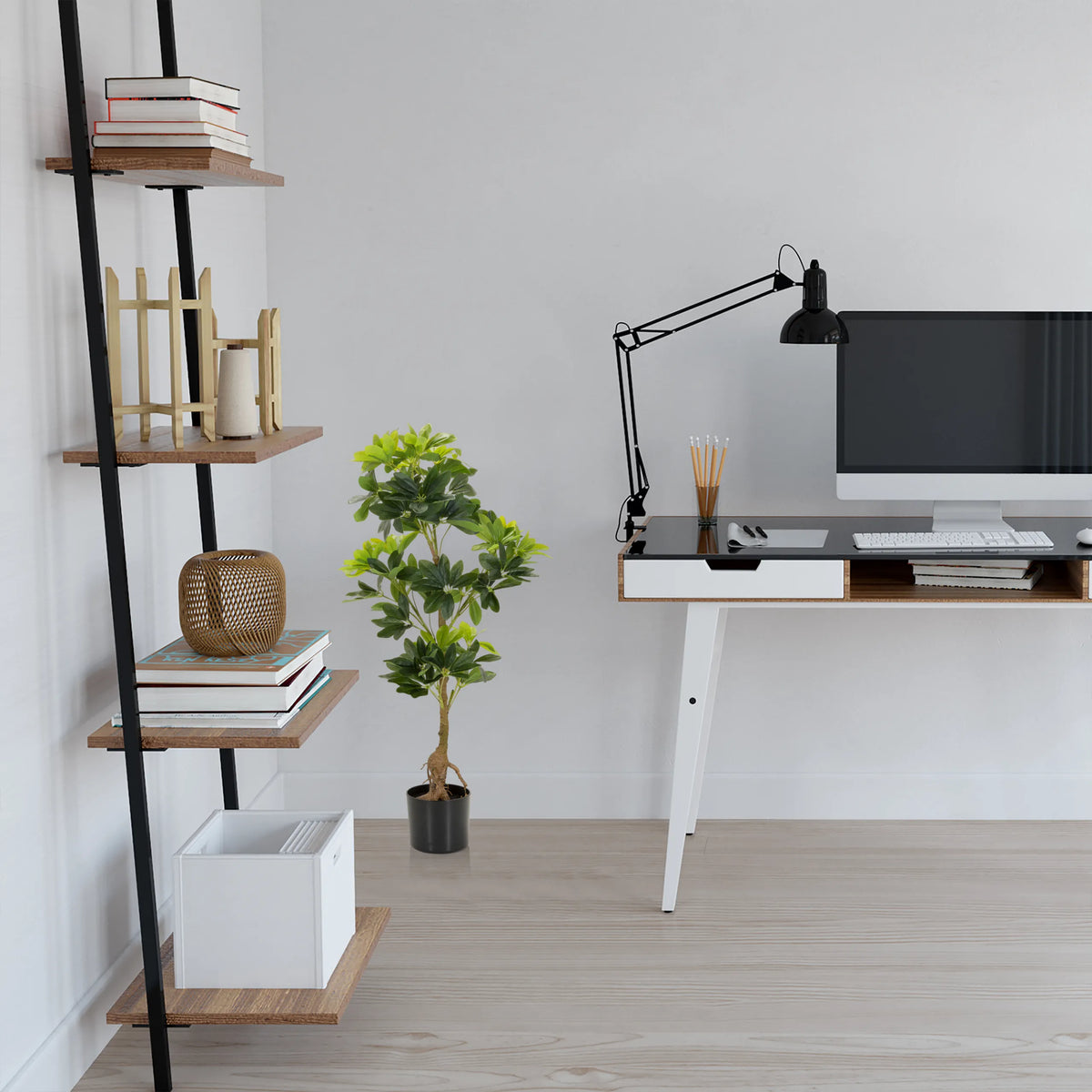Konstgjord växt SCHEFFLERA i grön färg med en svart kruka i ett rum från hjh OFFICE