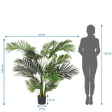 Måttritning av Konstgjorda växter ARECA II med en höjd på 150 cm och bredd på 64 cm från hjh OFFICE