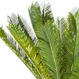 Gröna blad från de Konstgjorda växter CYCAS från hjh OFFICE