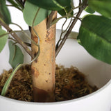 Stam och blad på den konstgjorda växten FICUS II i en vit kruka från hjh OFFICE