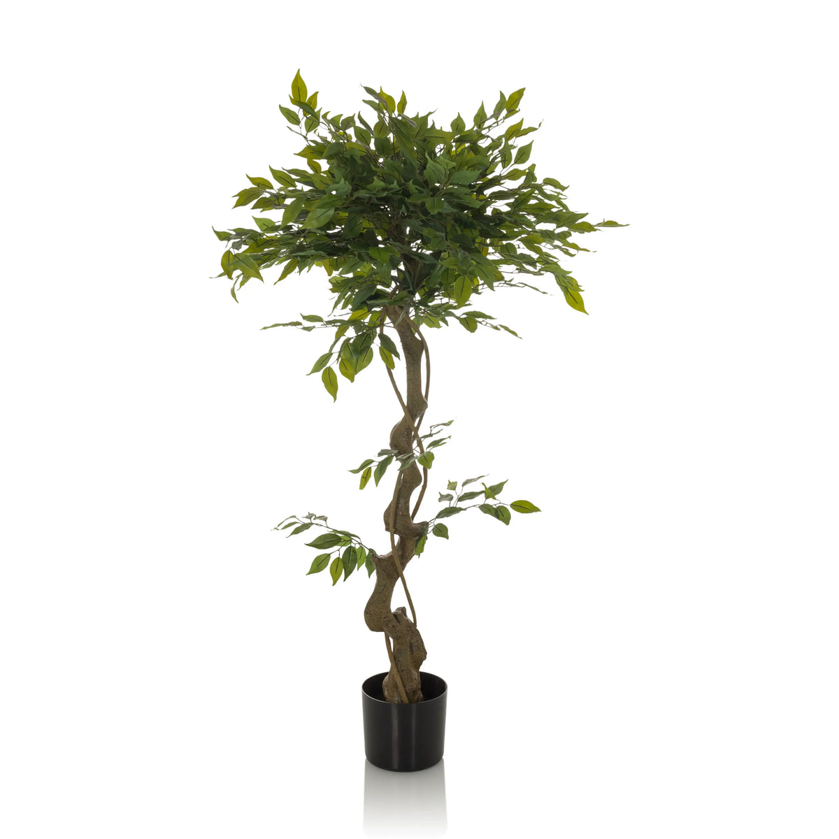 Grön Konstgjorda växter FICUS I med flätad stam i en svart kruka från hjh OFFICE – 360-gradersvy (framifrån 0°)