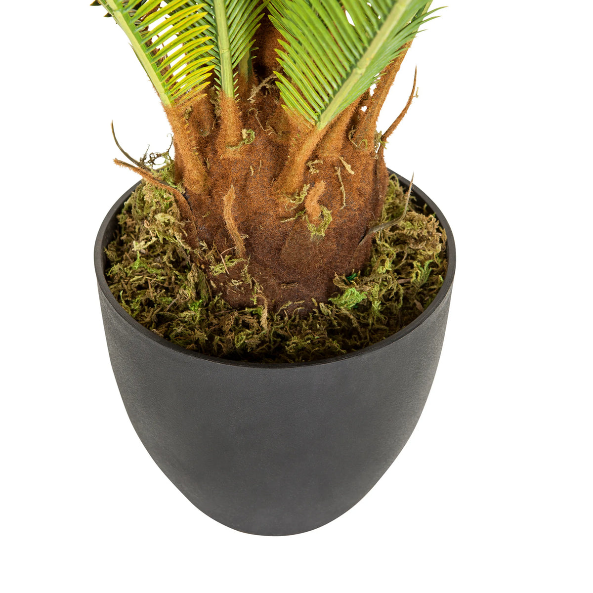 Stam och svart ytterkruka till den Konstgjorda växten CYCAS från hjh OFFICE
